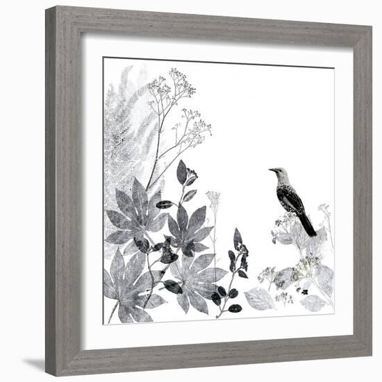 Thoughtful Wattlebird-Trudy Rice-Framed Art Print