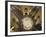 Thousands Attend Mass in Aparecida Do Norte, Brazil, October 12, 2006-Victor R. Caivano-Framed Photographic Print