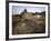Thousands of Young Pilgrims-null-Framed Photographic Print