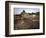 Thousands of Young Pilgrims-null-Framed Photographic Print