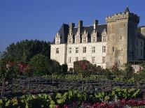 Gardens, Chateau De Villandry, Loire Valley, Centre, France, Europe-Thouvenin Guy-Photographic Print