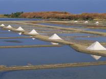 Salt Pans in Marshes, Ile De Re, Poitou Charentes, France, Europe-Thouvenin Guy-Photographic Print