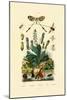 Thread-Winged Antlion, 1833-39-null-Mounted Giclee Print