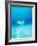 Threadfin Brtterflyfish-null-Framed Photographic Print