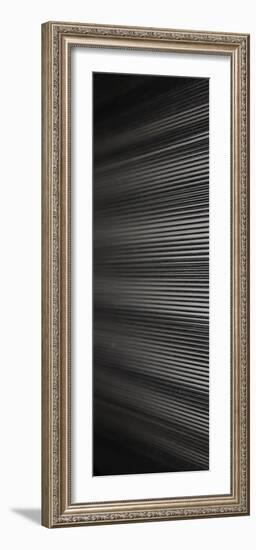 Threads I-Jairo Rodriguez-Framed Photographic Print