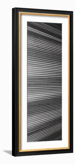 Threads II-Jairo Rodriguez-Framed Photographic Print