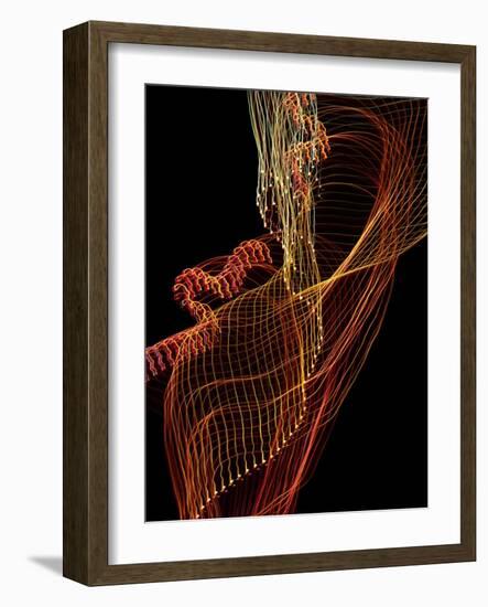 Threads of light-Heidi Westum-Framed Photographic Print