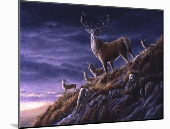 Threatening Sky Red Deer-Jeremy Paul-Mounted Giclee Print