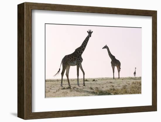 Three, 2019-Eric Meyer-Framed Photographic Print