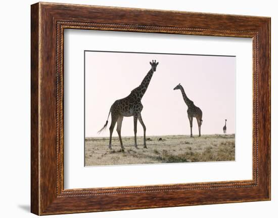 Three, 2019-Eric Meyer-Framed Photographic Print