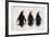 Three African Penguins-Catharina Lux-Framed Photographic Print