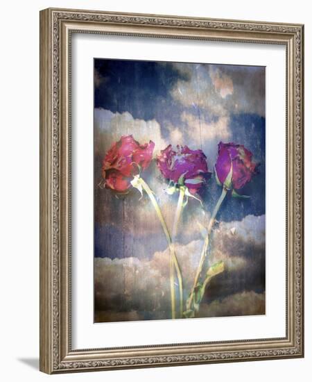 Three Almost Faded Roses in Dark Blue Sky-Alaya Gadeh-Framed Photographic Print