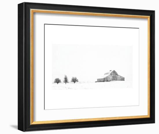 Three Apple Trees-Trent Foltz-Framed Art Print