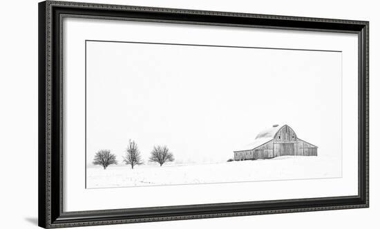 Three Apple Trees-Trent Foltz-Framed Art Print