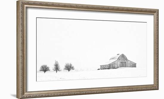 Three Apple Trees-Trent Foltz-Framed Art Print