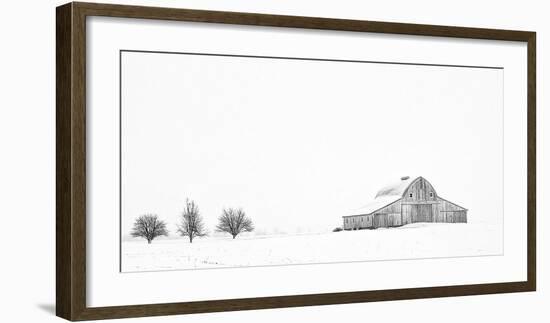 Three Apple Trees-Trent Foltz-Framed Art Print