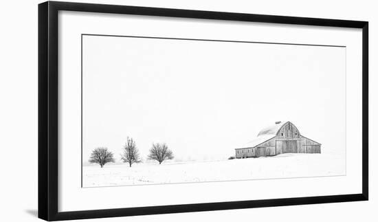 Three Apple Trees-Trent Foltz-Framed Art Print