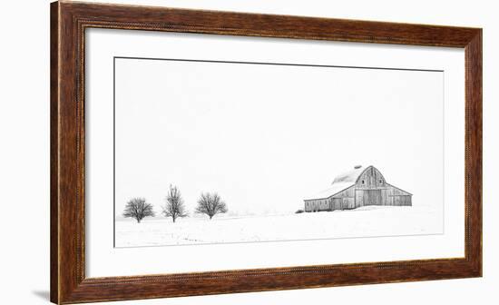 Three Apple Trees-Trent Foltz-Framed Art Print