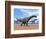 Three Argentinosaurus Dinosaurs Walking in the Desert-null-Framed Premium Giclee Print