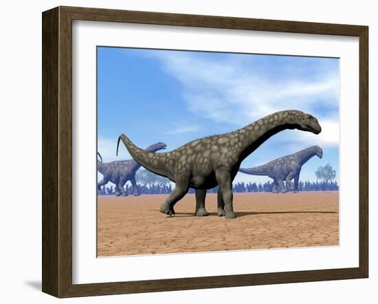 Three Argentinosaurus Dinosaurs Walking in the Desert-null-Framed Art Print