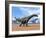 Three Argentinosaurus Dinosaurs Walking in the Desert-null-Framed Art Print