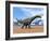 Three Argentinosaurus Dinosaurs Walking in the Desert-null-Framed Art Print