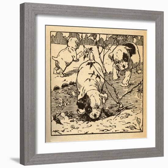 Three Bad Pups-AEK-Framed Art Print