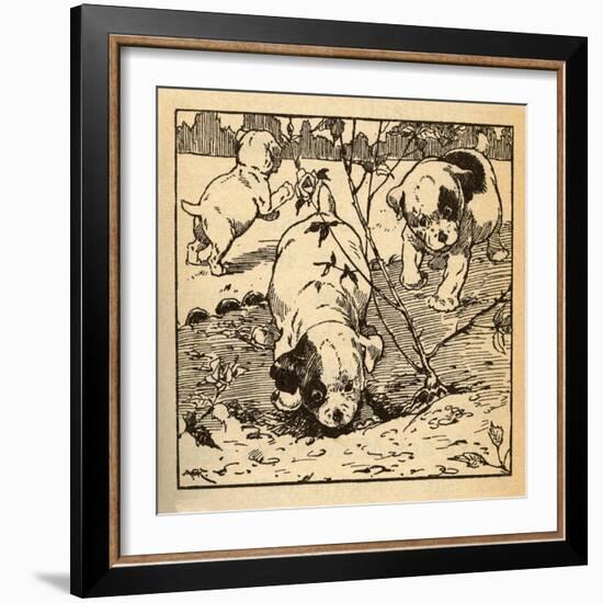 Three Bad Pups-AEK-Framed Art Print