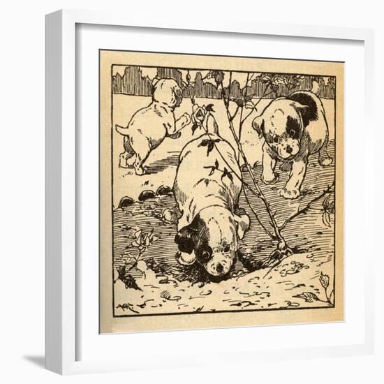 Three Bad Pups-AEK-Framed Art Print