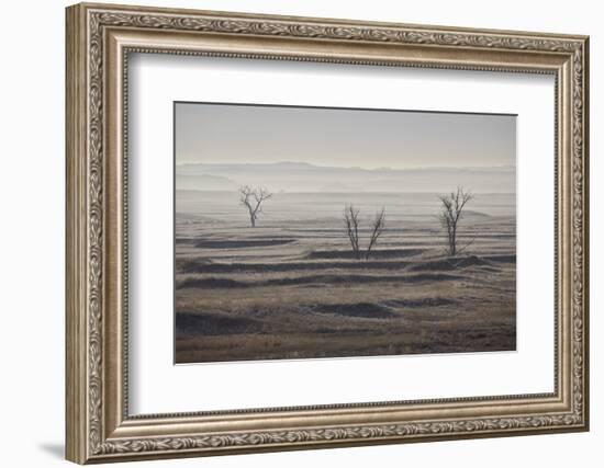 Three Bare Trees on a Hazy Morning, Badlands National Park, South Dakota-James Hager-Framed Photographic Print