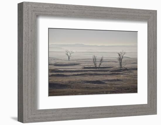 Three Bare Trees on a Hazy Morning, Badlands National Park, South Dakota-James Hager-Framed Photographic Print