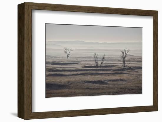 Three Bare Trees on a Hazy Morning, Badlands National Park, South Dakota-James Hager-Framed Photographic Print