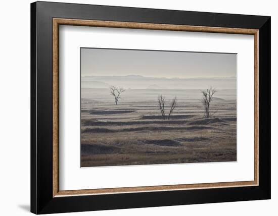 Three Bare Trees on a Hazy Morning, Badlands National Park, South Dakota-James Hager-Framed Photographic Print