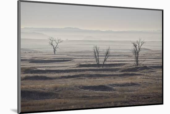 Three Bare Trees on a Hazy Morning, Badlands National Park, South Dakota-James Hager-Mounted Photographic Print