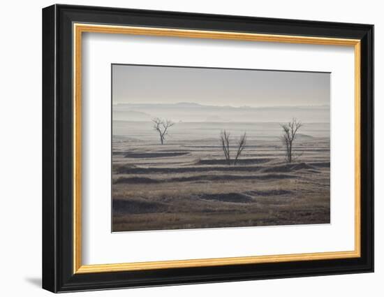 Three Bare Trees on a Hazy Morning, Badlands National Park, South Dakota-James Hager-Framed Photographic Print