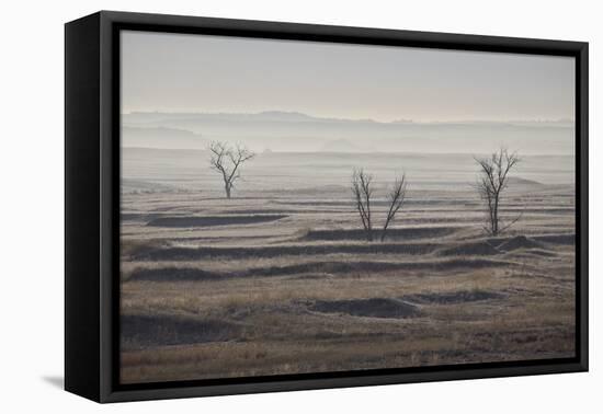 Three Bare Trees on a Hazy Morning, Badlands National Park, South Dakota-James Hager-Framed Premier Image Canvas