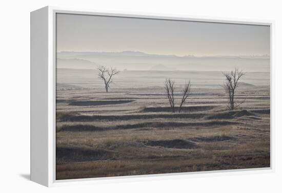 Three Bare Trees on a Hazy Morning, Badlands National Park, South Dakota-James Hager-Framed Premier Image Canvas