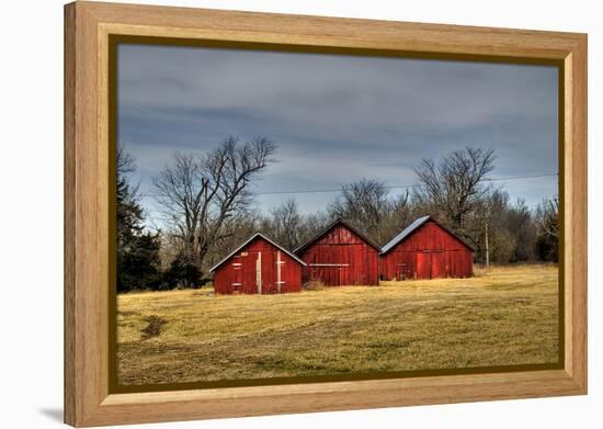Three Barns, Kansas, USA-Michael Scheufler-Framed Premier Image Canvas