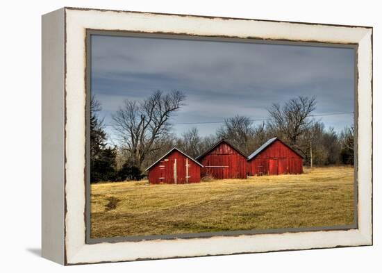 Three Barns, Kansas, USA-Michael Scheufler-Framed Premier Image Canvas