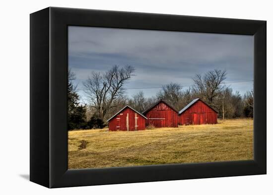 Three Barns, Kansas, USA-Michael Scheufler-Framed Premier Image Canvas