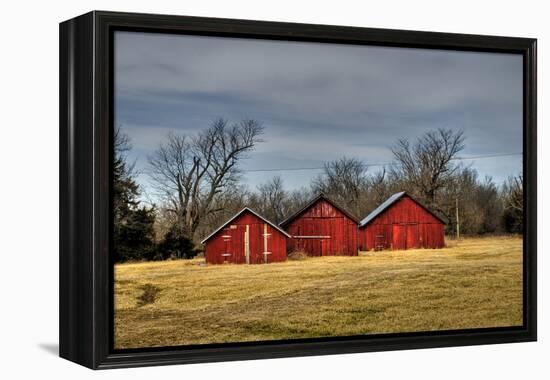 Three Barns, Kansas, USA-Michael Scheufler-Framed Premier Image Canvas