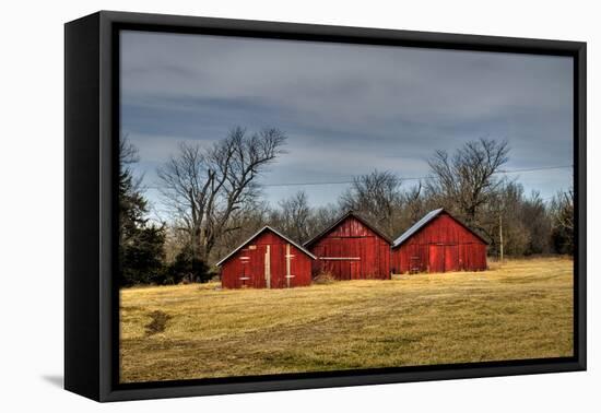 Three Barns, Kansas, USA-Michael Scheufler-Framed Premier Image Canvas