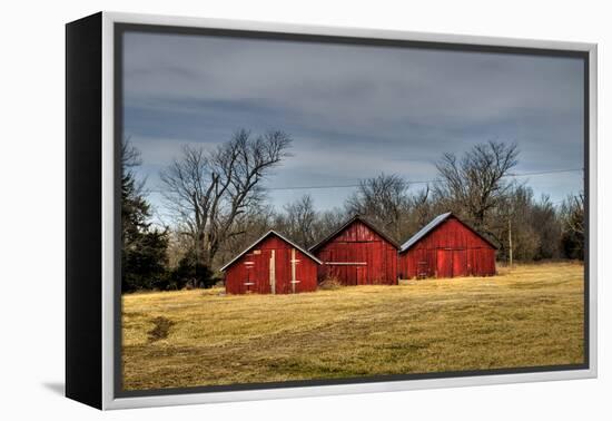 Three Barns, Kansas, USA-Michael Scheufler-Framed Premier Image Canvas