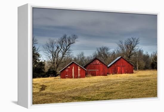 Three Barns, Kansas, USA-Michael Scheufler-Framed Premier Image Canvas