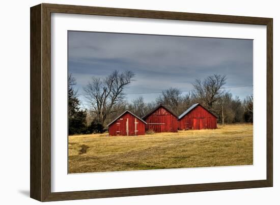 Three Barns, Kansas, USA-Michael Scheufler-Framed Photographic Print