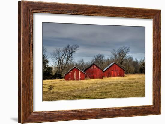 Three Barns, Kansas, USA-Michael Scheufler-Framed Photographic Print