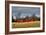 Three Barns, Kansas, USA-Michael Scheufler-Framed Photographic Print