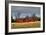 Three Barns, Kansas, USA-Michael Scheufler-Framed Photographic Print