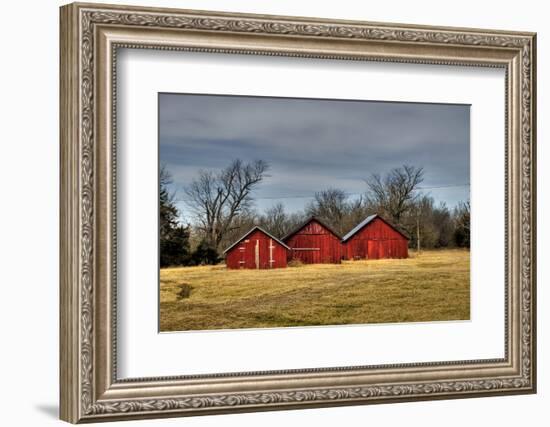 Three Barns, Kansas, USA-Michael Scheufler-Framed Photographic Print