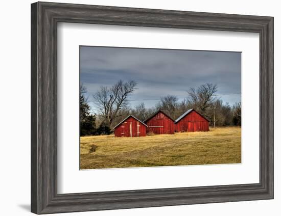 Three Barns, Kansas, USA-Michael Scheufler-Framed Photographic Print